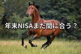「年末直前！2025年NISA枠を使い切る＆旧NISA対応ガイド」の画像1