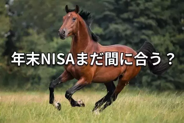 年末直前！2025年NISA枠を使い切る＆旧NISA対応ガイド
