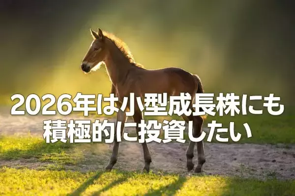 2026年日本株：主役は大型株から小型株へ（窪田真之）