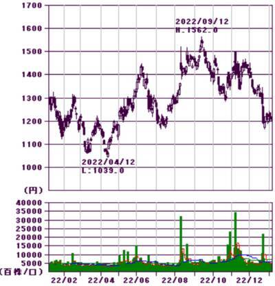 ほぼ全面安も銀行とEV充電銘柄が好発進、今年の取引占う大発会