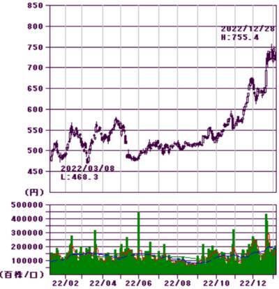 ほぼ全面安も銀行とEV充電銘柄が好発進、今年の取引占う大発会
