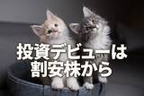 「投資デビューは割安株から、東証グロース（旧マザーズ）株に底入れ機運もまだリスク高い」の画像1