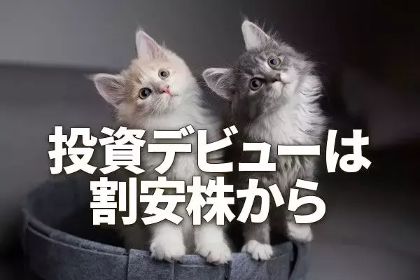 投資デビューは割安株から、東証グロース（旧マザーズ）株に底入れ機運もまだリスク高い