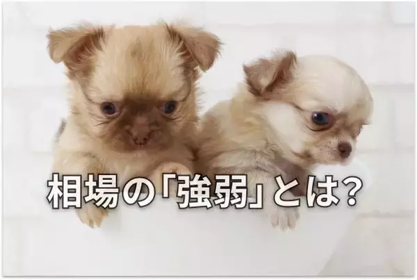 【投資クイズ】ローソク足で「売りか、買いか」判断しよう