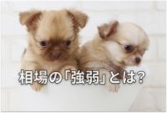 【投資クイズ】ローソク足で「売りか、買いか」判断しよう