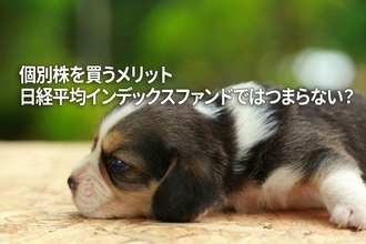 個別株を買うメリット、日経平均インデックスファンドではつまらない？