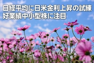 日経平均に日米金利上昇の試練、好業績中小型株に注目（窪田真之）