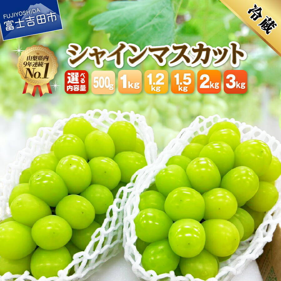 ［ふるさと納税］ティッシュ60箱、コシヒカリや銀鮭など生活を応援する返礼品が上位に！2026年5月の人気返礼品トップ10-5/27時点