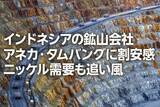 「インドネシアの鉱山会社アネカ・タムバングに割安感：ニッケル需要も追い風（西 勇太郎）」の画像1