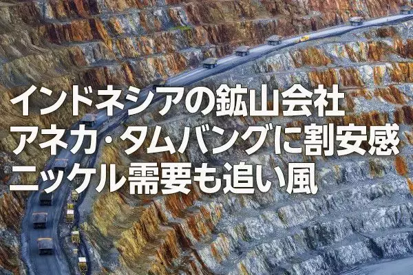 インドネシアの鉱山会社アネカ・タムバングに割安感：ニッケル需要も追い風（西 勇太郎）