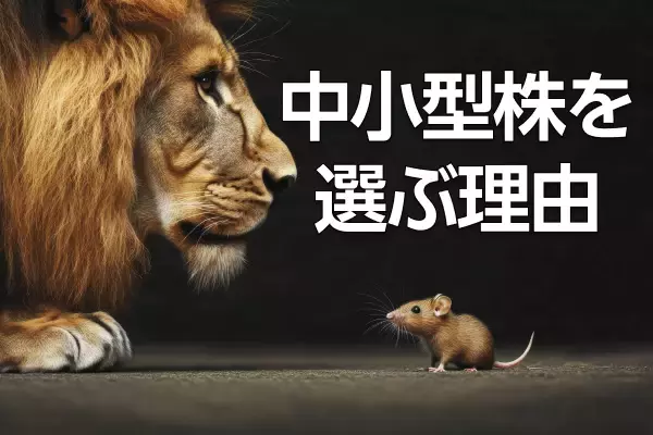 今こそ、出遅れ「中小型株」ファンドに注目！成長と安定のいいとこ取り