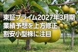 「東証プライム2027年3月期業績予想を上方修正。割安小型株に注目（窪田真之）」の画像1