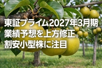 東証プライム2027年3月期業績予想を上方修正。割安小型株に注目（窪田真之）