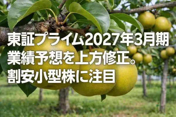 東証プライム2027年3月期業績予想を上方修正。割安小型株に注目（窪田真之）