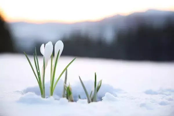 今週は日米の重要なイベントを消化。2万7,400～2万8,000円のレンジを想定