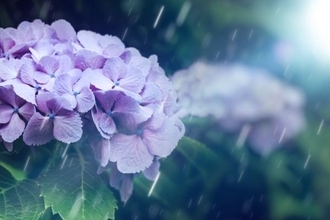 日経平均株価は3万1,864円でスタート～注目の5銘柄を分析