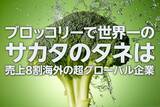 「サカタのタネ株に「割安感」、ブロッコリー世界1位・M＆Aで急拡大もPBR低迷（西 勇太郎）」の画像1