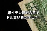 「米イラン停戦合意でドル買い巻き戻し第一弾！」の画像1