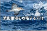 「【投資クイズ】積み立て投資の定番「ドルコスト平均法」の利点は？」の画像1