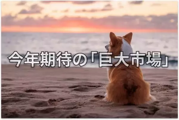 【投資クイズ】宇宙産業で活躍する日本企業はどこ？