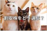 「【投資クイズ】日本製鉄・JR東海・KDDI・東京電力HD…高収益＆割安＆高配当なのは？」の画像1
