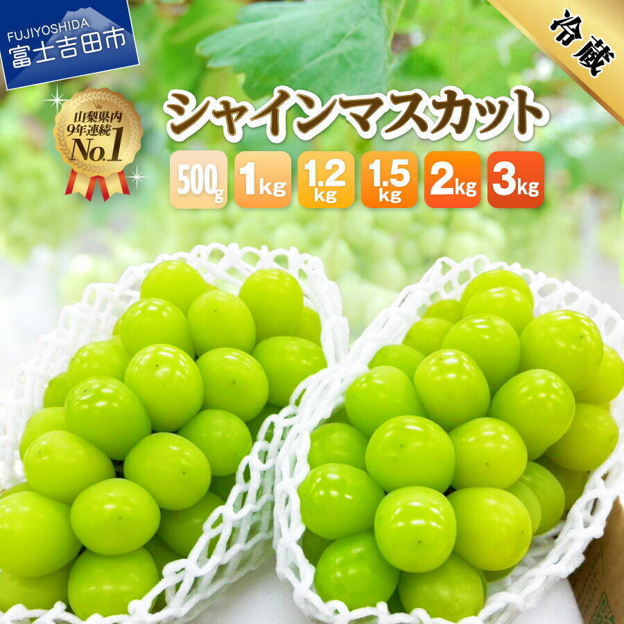 ［ふるさと納税］沖縄の塩で漬け込んだ厚切り塩銀鮭が１位！ 2026年7月の人気返礼品トップ10-7/22時点
