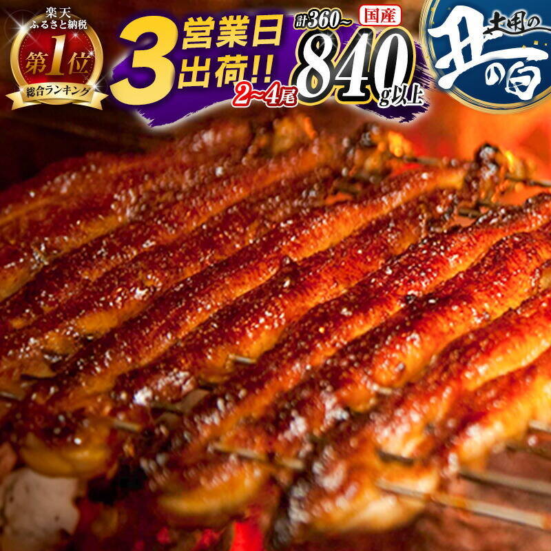 ［ふるさと納税］沖縄の塩で漬け込んだ厚切り塩銀鮭が１位！ 2026年7月の人気返礼品トップ10-7/22時点