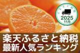 「［ふるさと納税］有田みかんがランクイン！年末感スゴイ！2025年11月の人気返礼品トップ10-11/26時点」の画像1