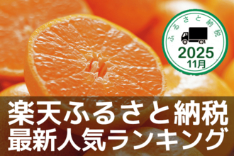 ［ふるさと納税］有田みかんがランクイン！年末感スゴイ！2025年11月の人気返礼品トップ10-11/26時点