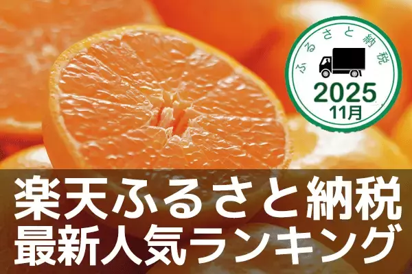 ［ふるさと納税］有田みかんがランクイン！年末感スゴイ！2025年11月の人気返礼品トップ10-11/26時点