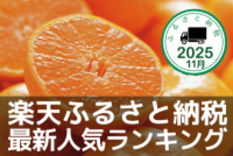 ［ふるさと納税］有田みかんがランクイン！年末感スゴイ！2025年11月の人気返礼品トップ10-11/26時点
