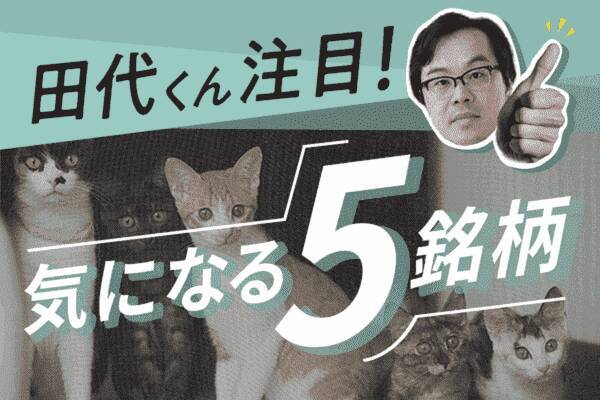 2月のNISA記事5選：連続増配の5銘柄、投資信託の種類、新NISAで1億円目指すなら