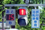 「歩行者用はあるのにナゼ？ 車の「あと〇秒」信号機が日本で普及しない“納得のワケ” 便利さの裏に潜むワナ」の画像1