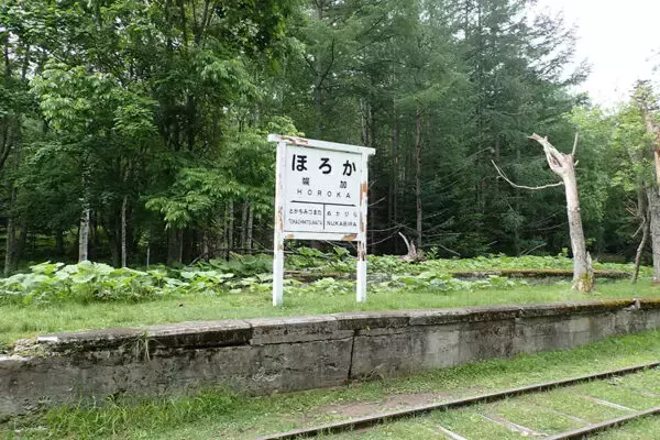原生林の中で「朽ちていく鉄道橋」が国道沿いに次々と現れる！ 約90年前の“美しすぎる橋梁群”が残る廃線跡を追う