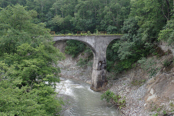 原生林の中で「朽ちていく鉄道橋」が国道沿いに次々と現れる！ 約90年前の“美しすぎる橋梁群”が残る廃線跡を追う