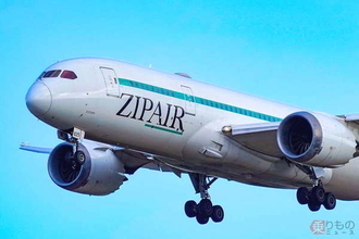 意外とウマそう!? JAL系LCC「ZIPAIR」が国内初「コオロギで作った機内食」を提供へ メリットも多数？