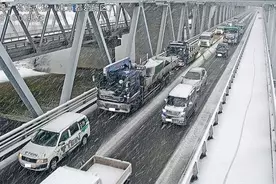 ついに ピカチュウが道路標識に 標識の意味が分かる人こそポケモンマスター 22年1月5日 エキサイトニュース