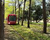 「アジアいち美しいかもしれない線路!? 「まるでトトロの世界」を走る路面電車とは？ 軌道の8割を“緑化”」の画像1
