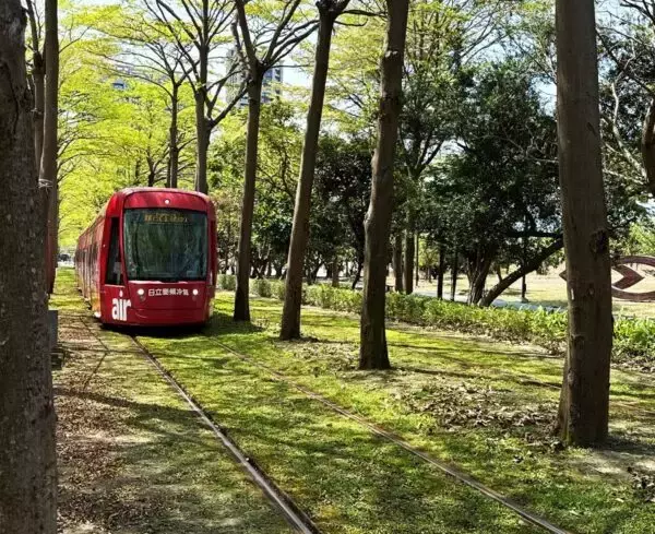 アジアいち美しいかもしれない線路!? 「まるでトトロの世界」を走る路面電車とは？ 軌道の8割を“緑化”