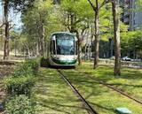 「アジアいち美しいかもしれない線路!? 「まるでトトロの世界」を走る路面電車とは？ 軌道の8割を“緑化”」の画像2