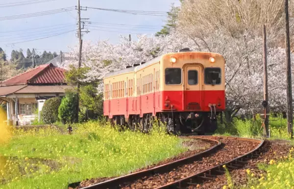 千葉の人気ローカル線まさかの呼びかけ!?「車両内での暑さ対策を」冷房は？ 切実な理由を明かす