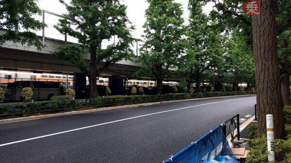 「表参道」があるなら「裏参道」はどこ？ 警官も知らない “幻の道” 探したら痕跡を発見！