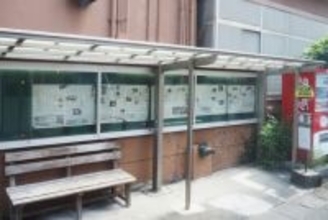 「このバスの色、どこかで見たことがあるぞ…」不思議なバスが集まる“島”のなんともおおらかな世界