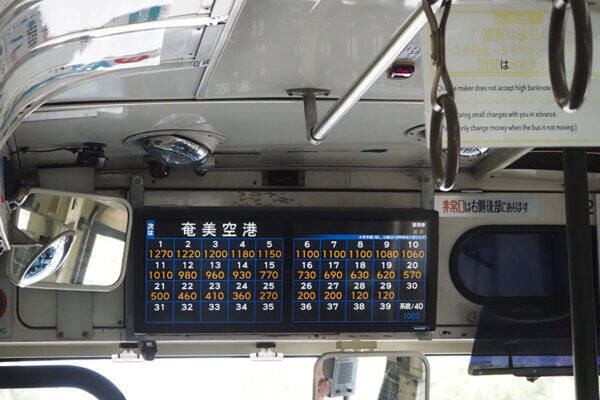 「このバスの色、どこかで見たことがあるぞ…」不思議なバスが集まる“島”のなんともおおらかな世界