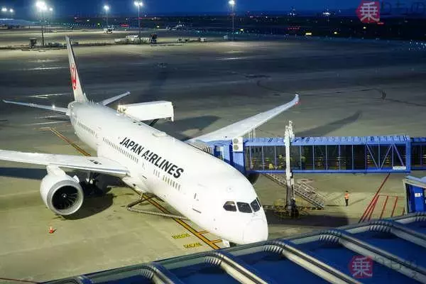 世界に4機だけの“怪鳥”が中部空港に2機集結！ “壮観なツーショット”を公式SNSが公開…ド迫力の全貌