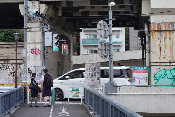 ここ高速道路ですよ!? ランプのド真ん中を「横断歩道が分断」フツーに人が歩いてる… 街に溶け込んだ“高架下の異空間”