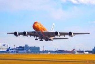 「カメがカメの飛行機を止めた」珍事から数年… 成田空港の“対カメ戦争”が想像以上にガチだった！