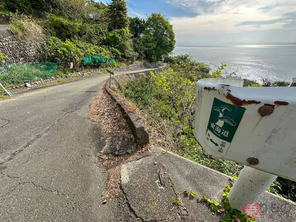 鉄道・国道・高速「3本」が1か所にギュッ！ 薩埵峠の“異常な絶景”が生まれたワケ