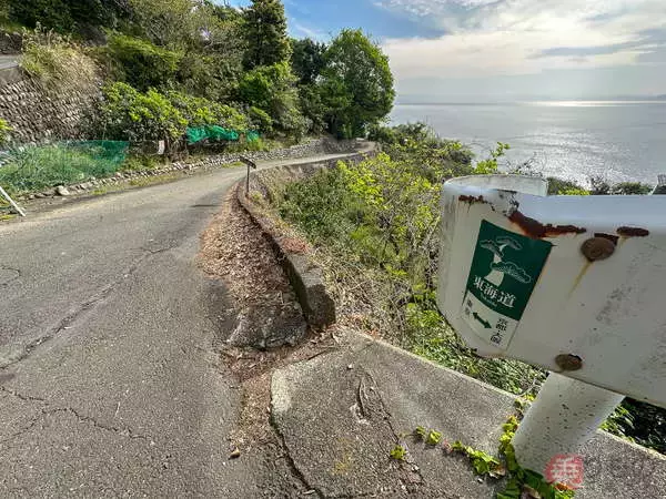 「鉄道・国道・高速「3本」が1か所にギュッ！ 薩埵峠の“異常な絶景”が生まれたワケ」の画像
