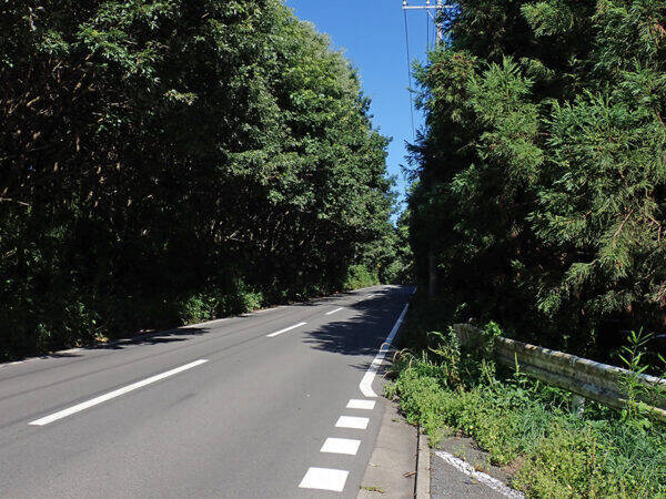 あれ、遠回りなのに早いぞ… 高速ICすぐ 群馬の知る人ぞ知る「東西横断“農道”」が使える件 心底寒そうな名前!?